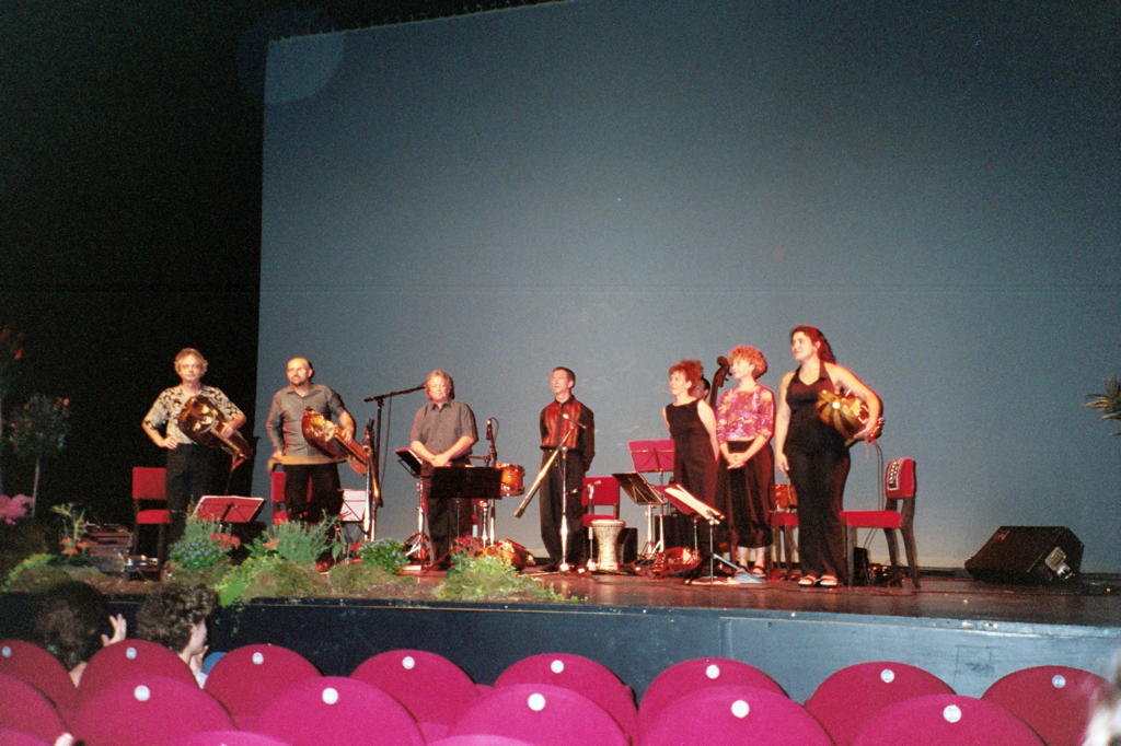 The Viellistic Orchestra