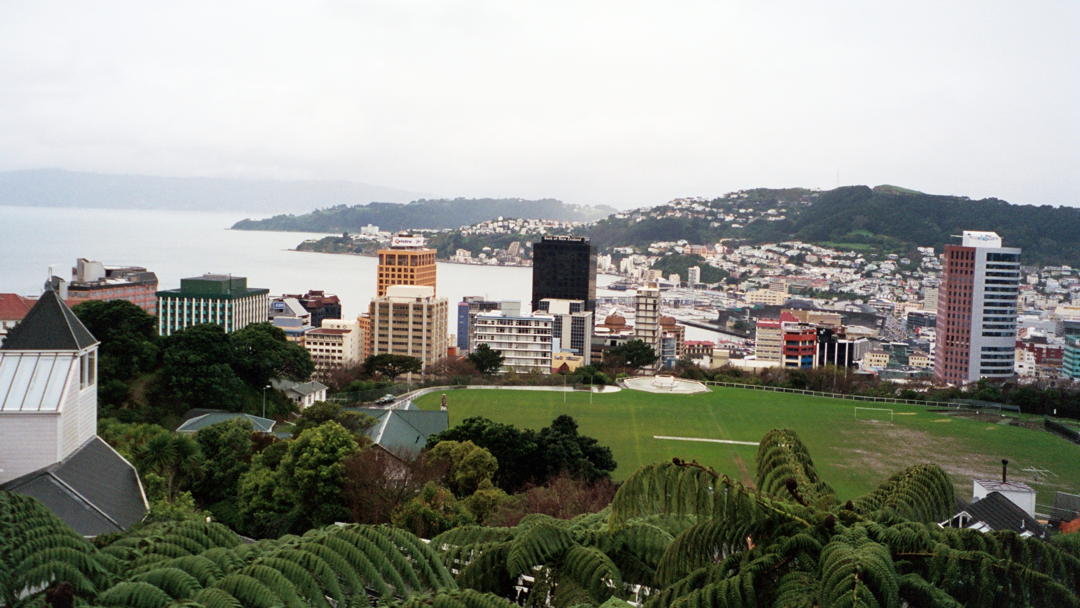 Wellington from above