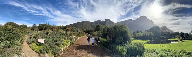 Kirstenbosch National Botanical Gardens